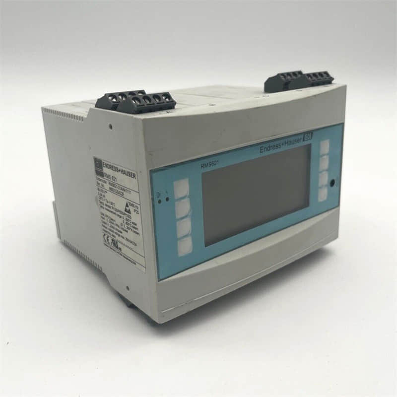 Endress+Hauser RMS621 Energy Manager